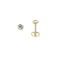 Zirkonia Zarge Ohrringe Ohrstecker aus 333er Gelbgold von ONE ELEMENT – Bild 1