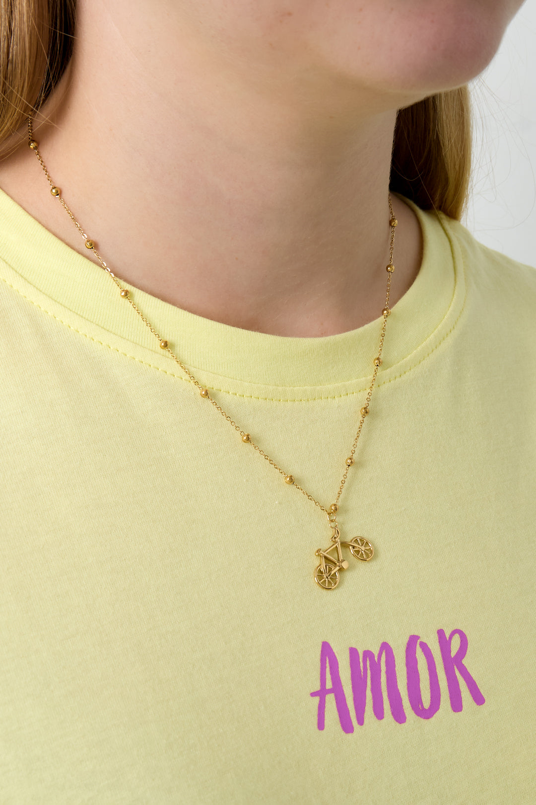 LIVAYA Anhängerkette mit Fahrrad-Anhänger und Kugeldetails