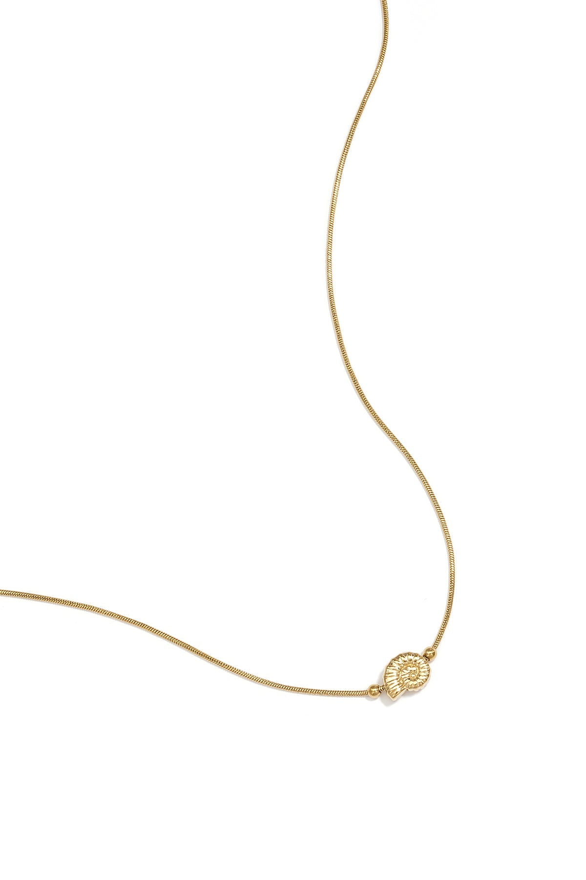LIVAYA kurze Edelstahlkette mit Spiralmuschel